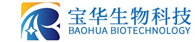 IM官方网页版